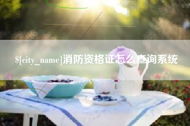 射阳消防资格证怎么查询系统