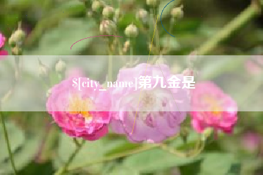 射阳第九金是