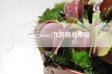 射阳九宫格分布图