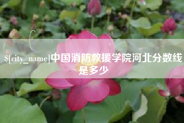 射阳中国消防救援学院河北分数线是多少