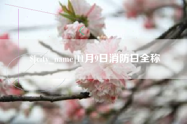 射阳11月9日消防日全称
