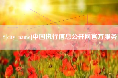射阳中国执行信息公开网官方服务