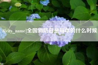射阳全国消防日是每年的什么时候