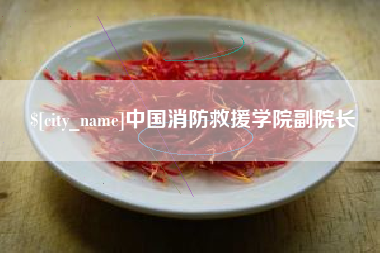 射阳中国消防救援学院副院长