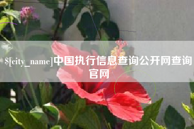 射阳中国执行信息查询公开网查询官网