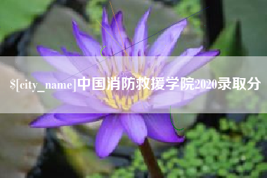 射阳中国消防救援学院2020录取分