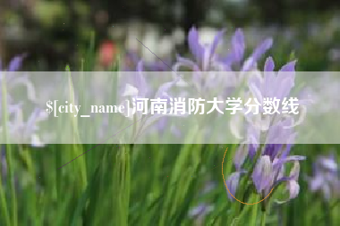 射阳河南消防大学分数线