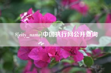 射阳中国执行网公开查询