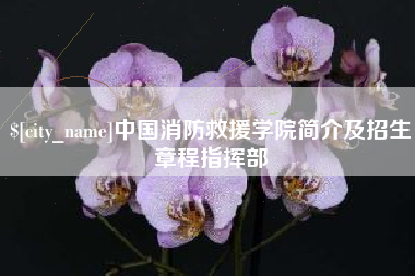 射阳中国消防救援学院简介及招生章程指挥部