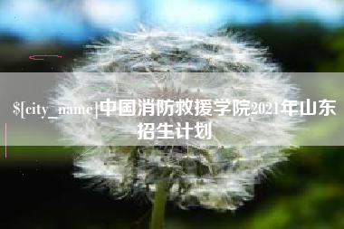 射阳中国消防救援学院2021年山东招生计划