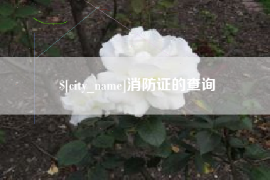 射阳消防证的查询