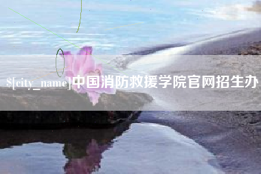 射阳中国消防救援学院官网招生办