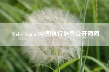 射阳中国执行信息公开网网