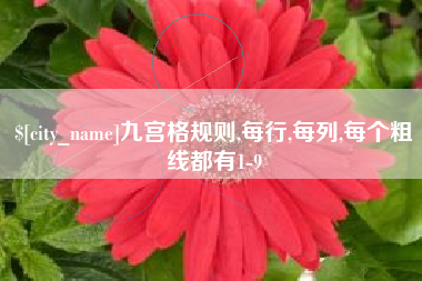 射阳九宫格规则,每行,每列,每个粗线都有1-9