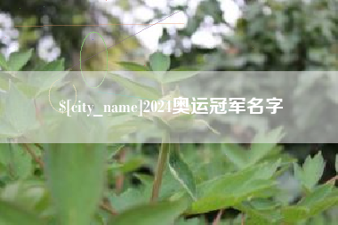 射阳2024奥运冠军名字