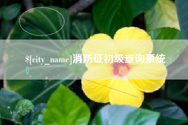 射阳消防证初级查询系统