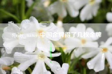射阳中国金牌得了几枚金牌