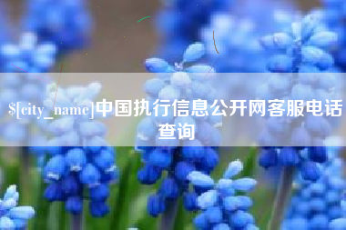 射阳中国执行信息公开网客服电话查询