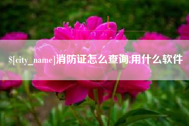 射阳消防证怎么查询,用什么软件