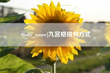 射阳九宫格排列方式
