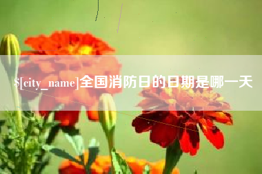 射阳全国消防日的日期是哪一天