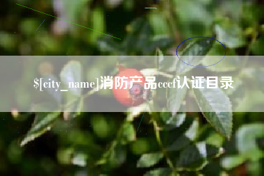 射阳消防产品cccf认证目录