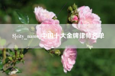 射阳中国十大金牌律师名单