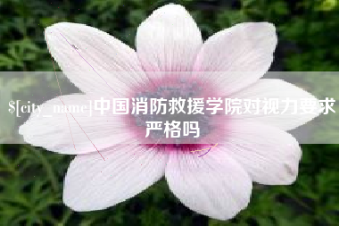 射阳中国消防救援学院对视力要求严格吗