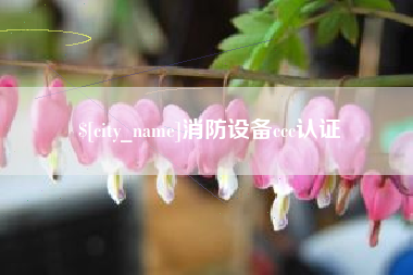 射阳消防设备ccc认证