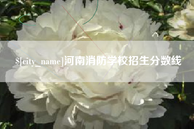射阳河南消防学校招生分数线