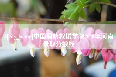 射阳中国消防救援学院2020年河南录取分数线