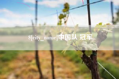 射阳中国队 冠军
