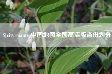 射阳中国地图全图高清版省份划分