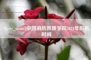 射阳中国消防救援学院2021年报名时间