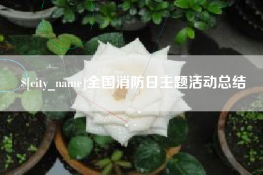 射阳全国消防日主题活动总结