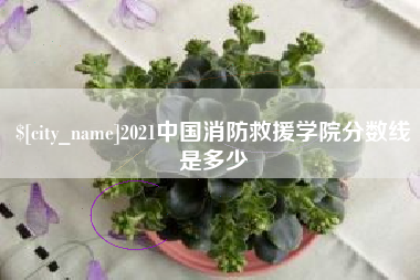 射阳2021中国消防救援学院分数线是多少