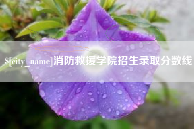 射阳消防救援学院招生录取分数线