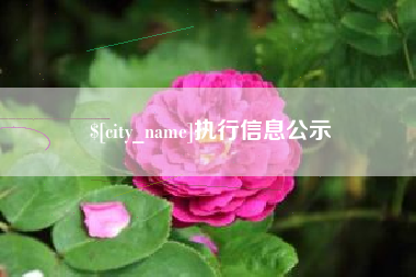 射阳执行信息公示