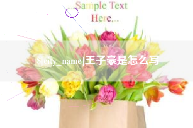 射阳王子豪是怎么写
