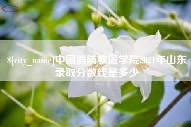 射阳中国消防救援学院2021年山东录取分数线是多少