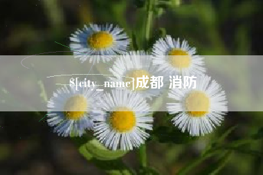 射阳成都 消防