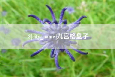 射阳九宫格盘子