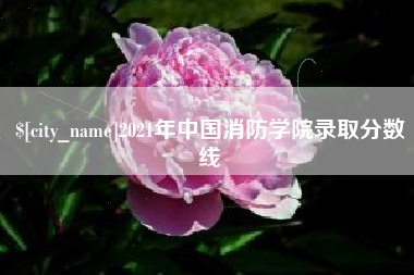 射阳2021年中国消防学院录取分数线