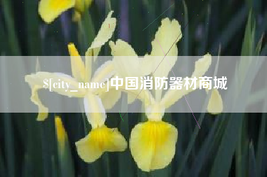 射阳中国消防器材商城