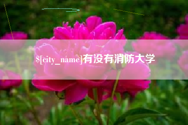 射阳有没有消防大学