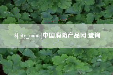 射阳中国消防产品网 查询