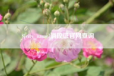 射阳消控证官网查询