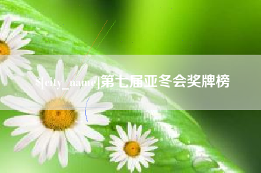 射阳第七届亚冬会奖牌榜