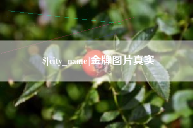 射阳金牌图片真实