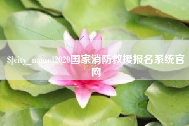 射阳2020国家消防救援报名系统官网